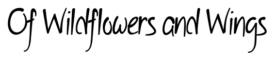 Of Wildflowers and Wings font